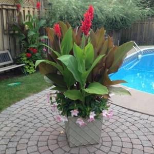 Meet your Posher, Joanne